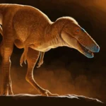 Antes do T. rex, havia o “príncipe dragão”.