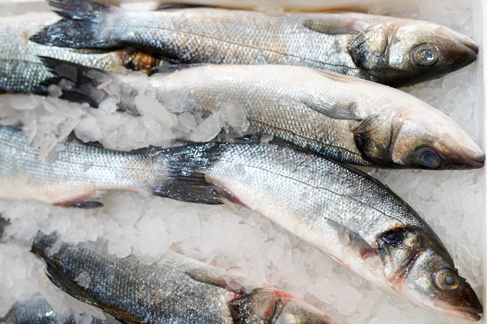 Intoxicação por toxina em aquicultura armazenada: Esse deslize caseiro pode ser mortal, advertem profissionais.