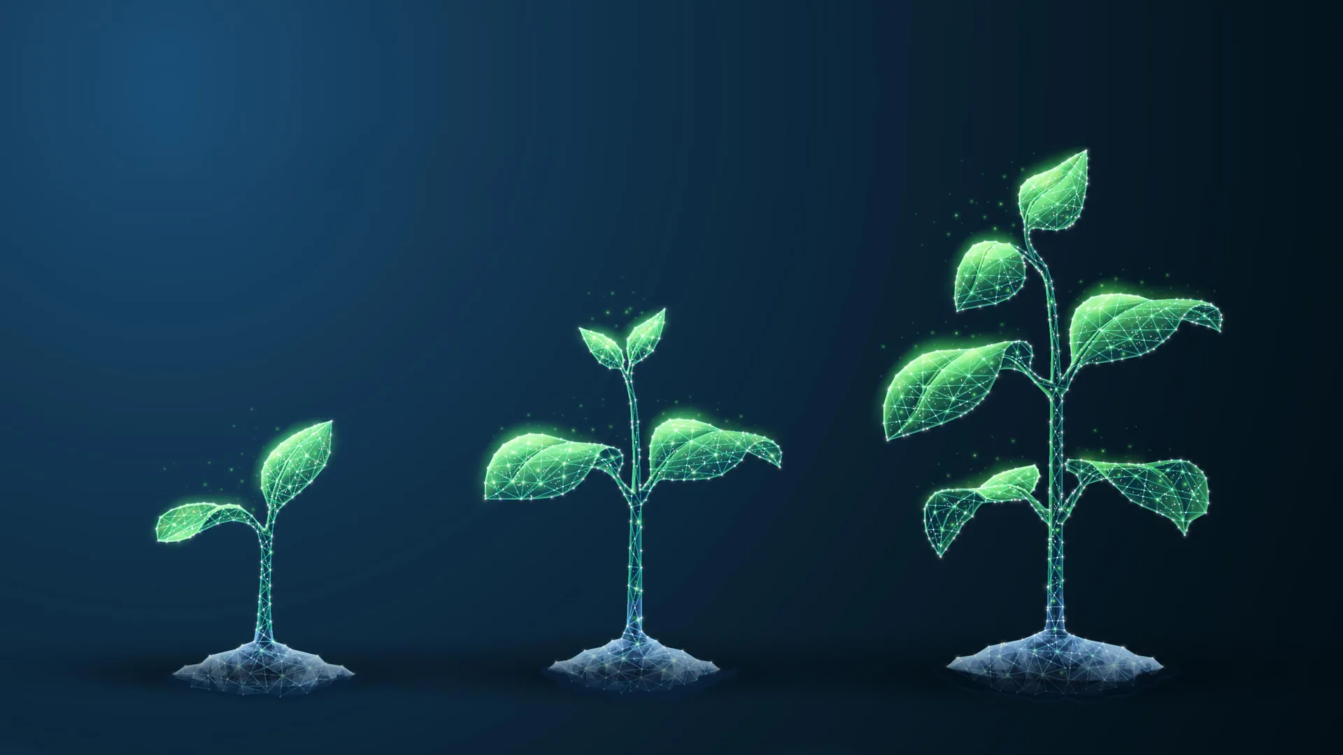 Cientistas revelam uma lei universal oculta que restringe o crescimento da vida