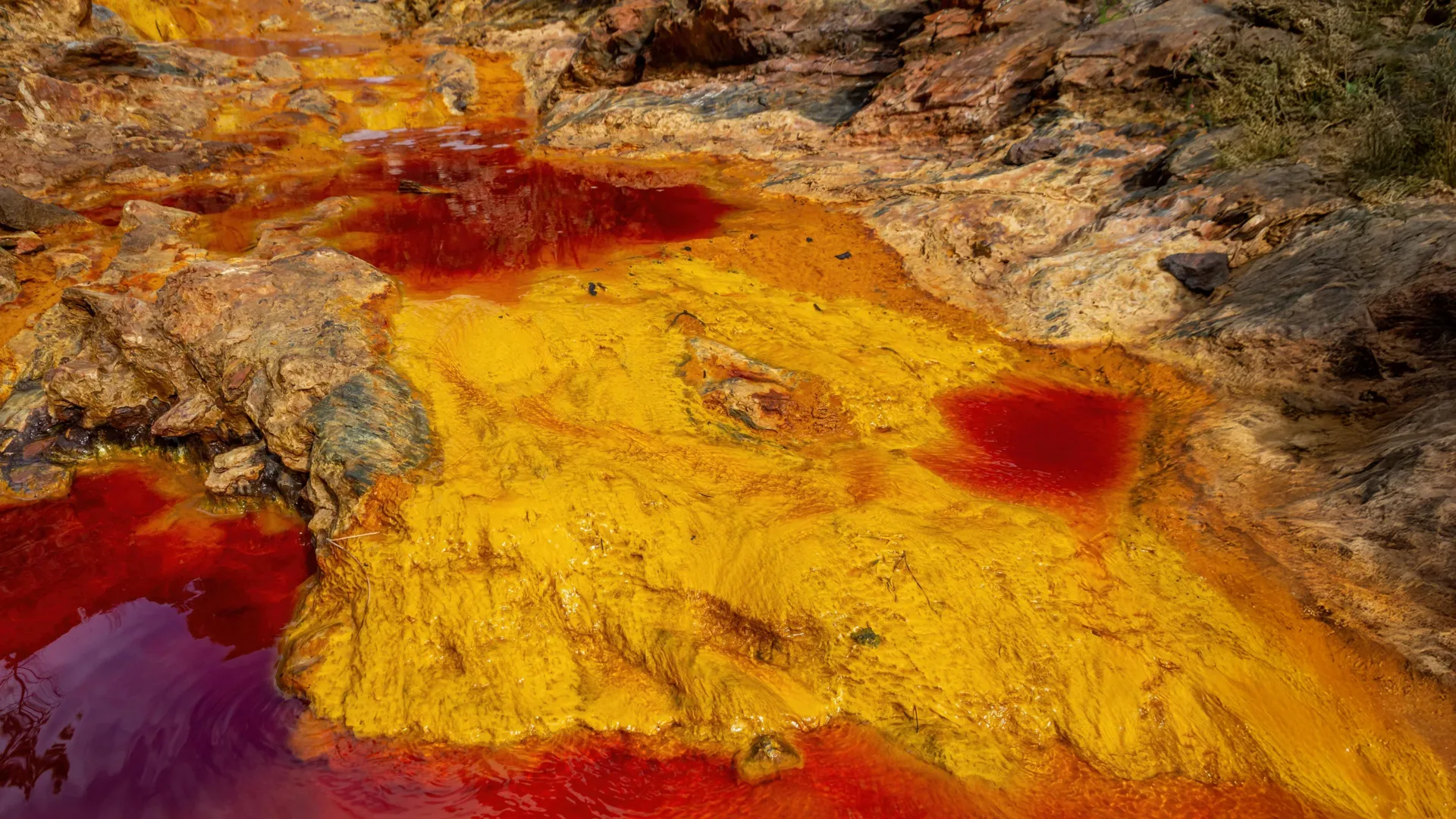 Microrganismos que respiram ferrugem podem auxiliar na preservação dos oceanos da Terra.