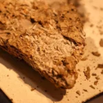 Um fóssil de 540 milhões de anos está reescrevendo a evolução.