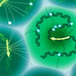 Cientistas finalmente decifram o código genético oculto que molda enfermidades