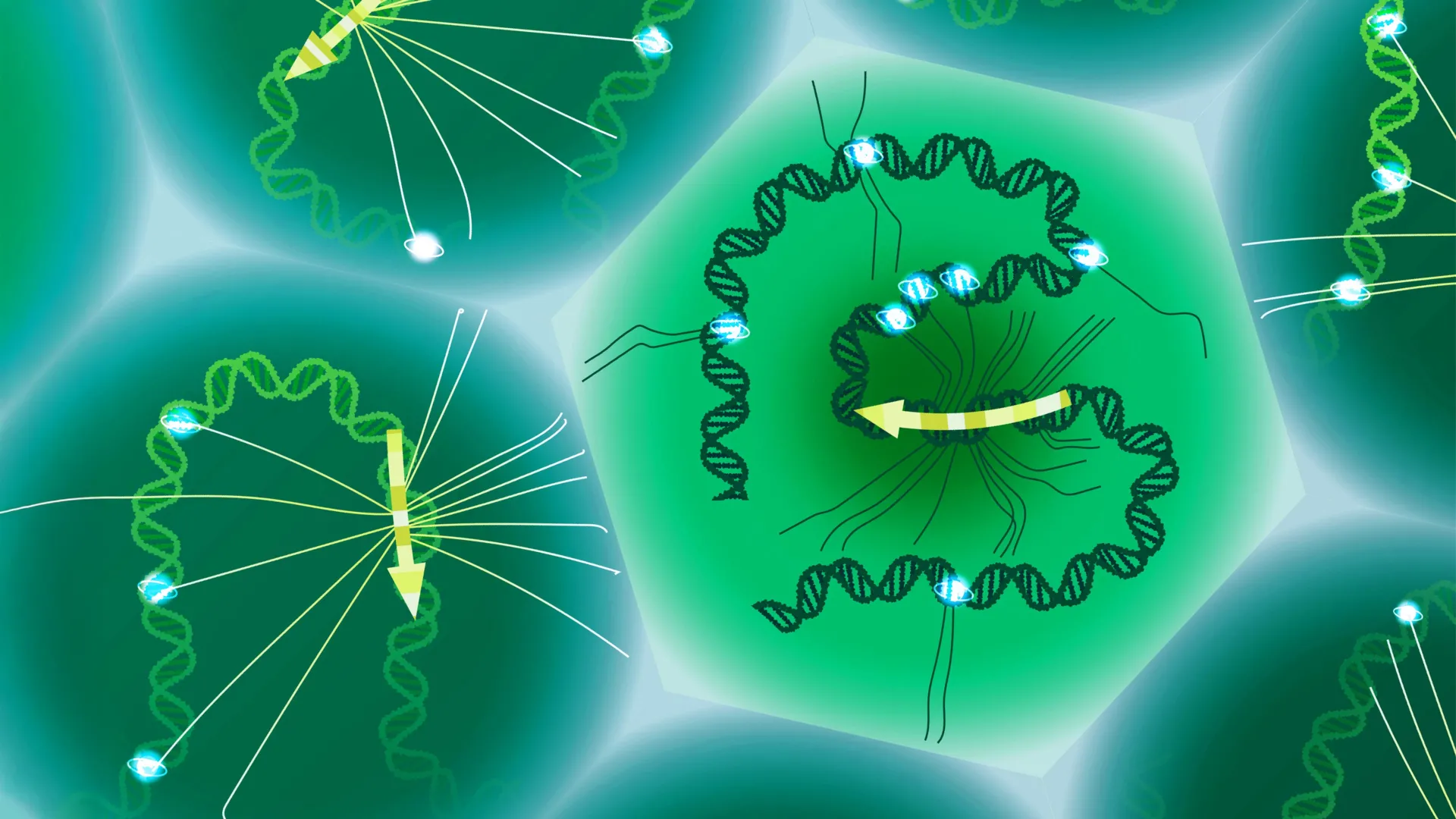 Cientistas finalmente decifram o código genético oculto que molda enfermidades