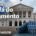 <p>“Montenegro precisa desculpar