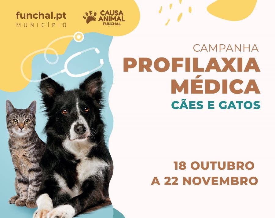 2ª Ação de Prevenção Veterinária da CMF imunizou 191 cães e 89 felinos