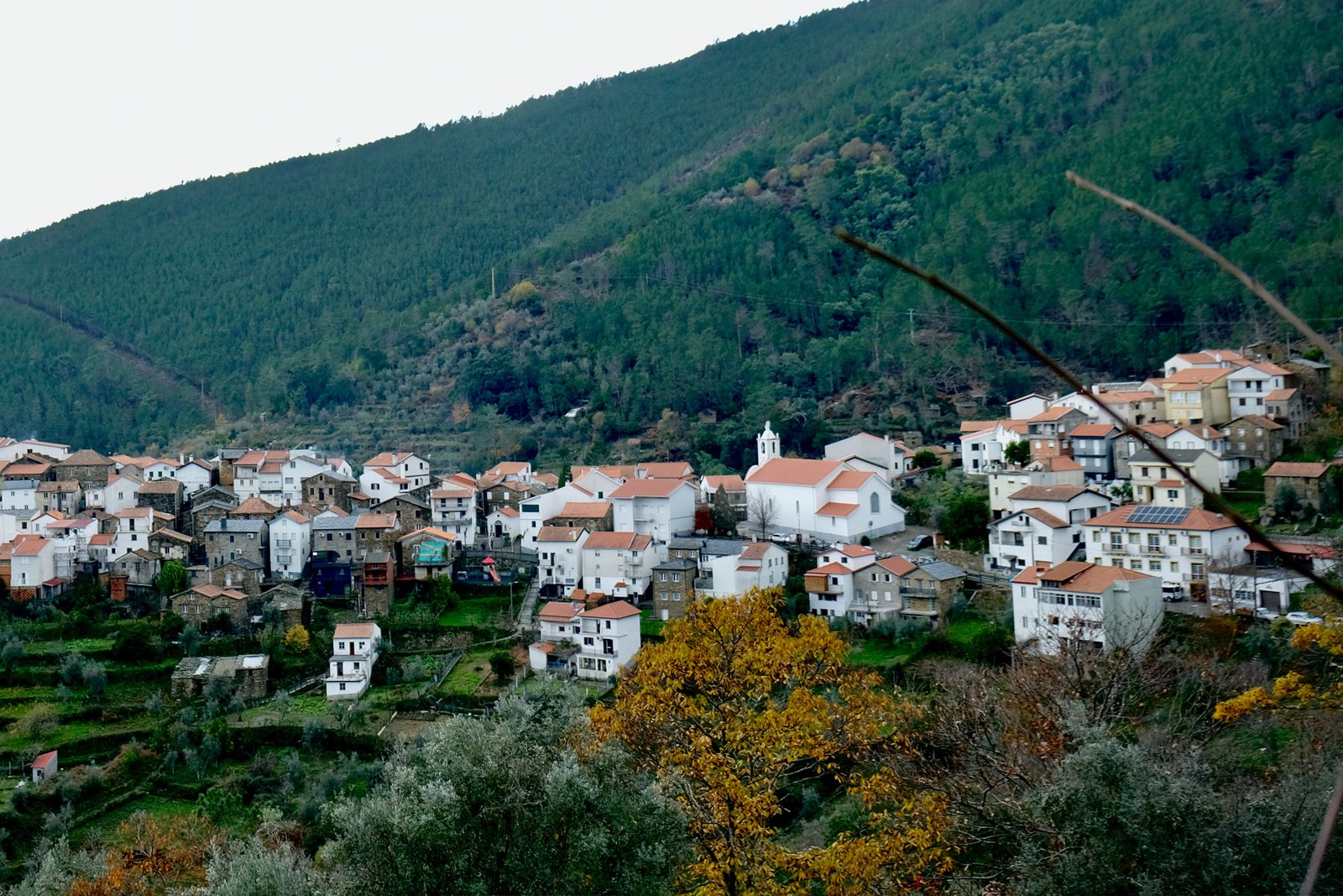 <p>Guarda: Cume metamorfoseia