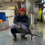 <p>O oceano profundo possui uma conexão ausente e pesquisadores finalmente descobriram