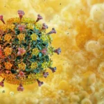 <p>A surpreendente resistência ao calor da gripe aviária preocupa pesquisadores</p>