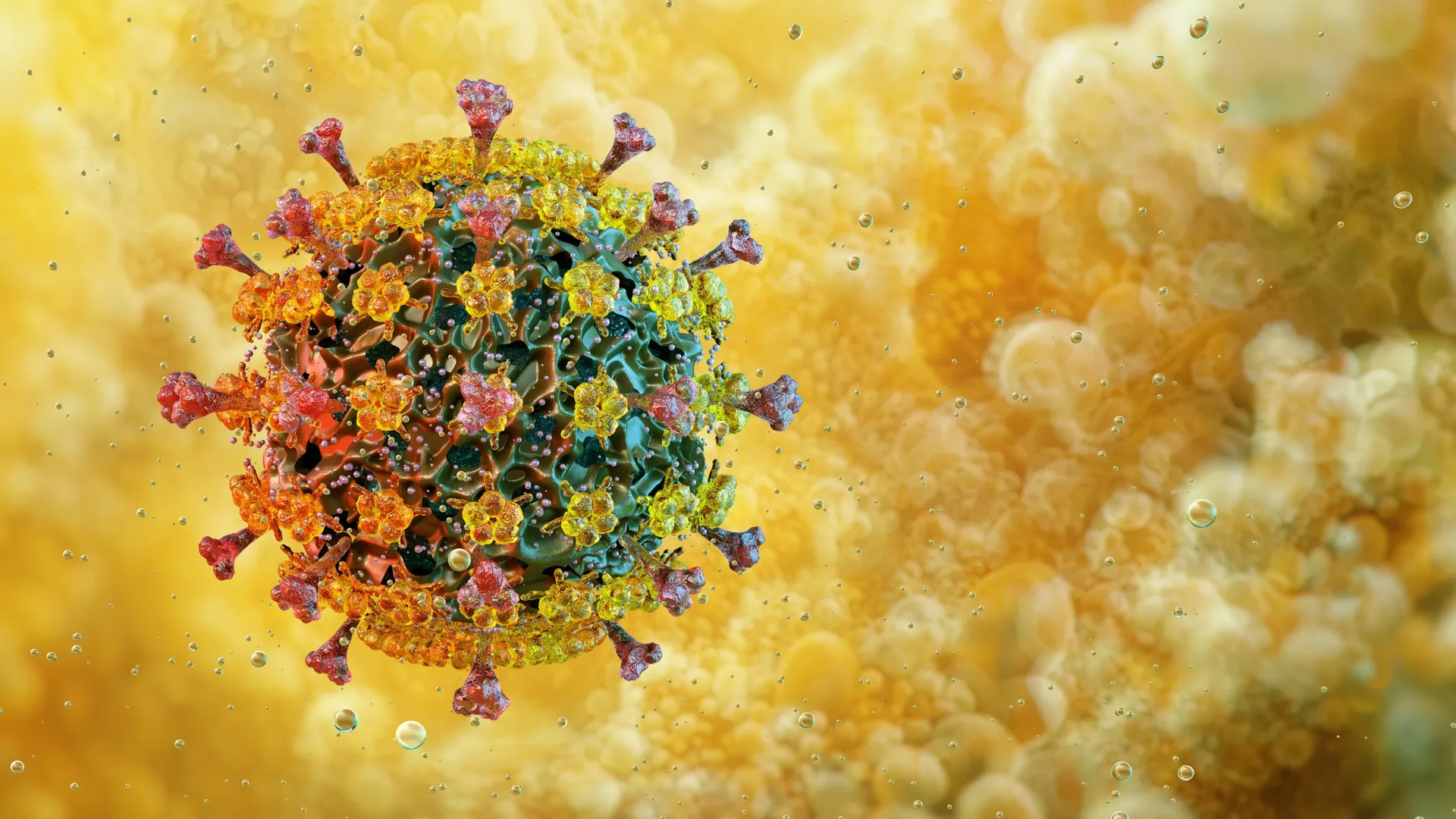 <p>A surpreendente resistência ao calor da gripe aviária preocupa pesquisadores</p>