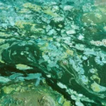 <p>Cientistas revelam o que adiou a explosão de oxigênio na Terra por um bilhão de anos.</p>