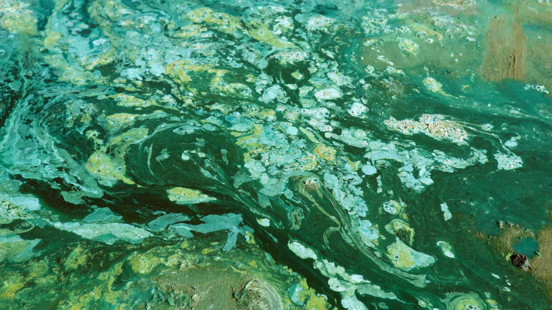 <p>Cientistas revelam o que adiou a explosão de oxigênio na Terra por um bilhão de anos.</p>