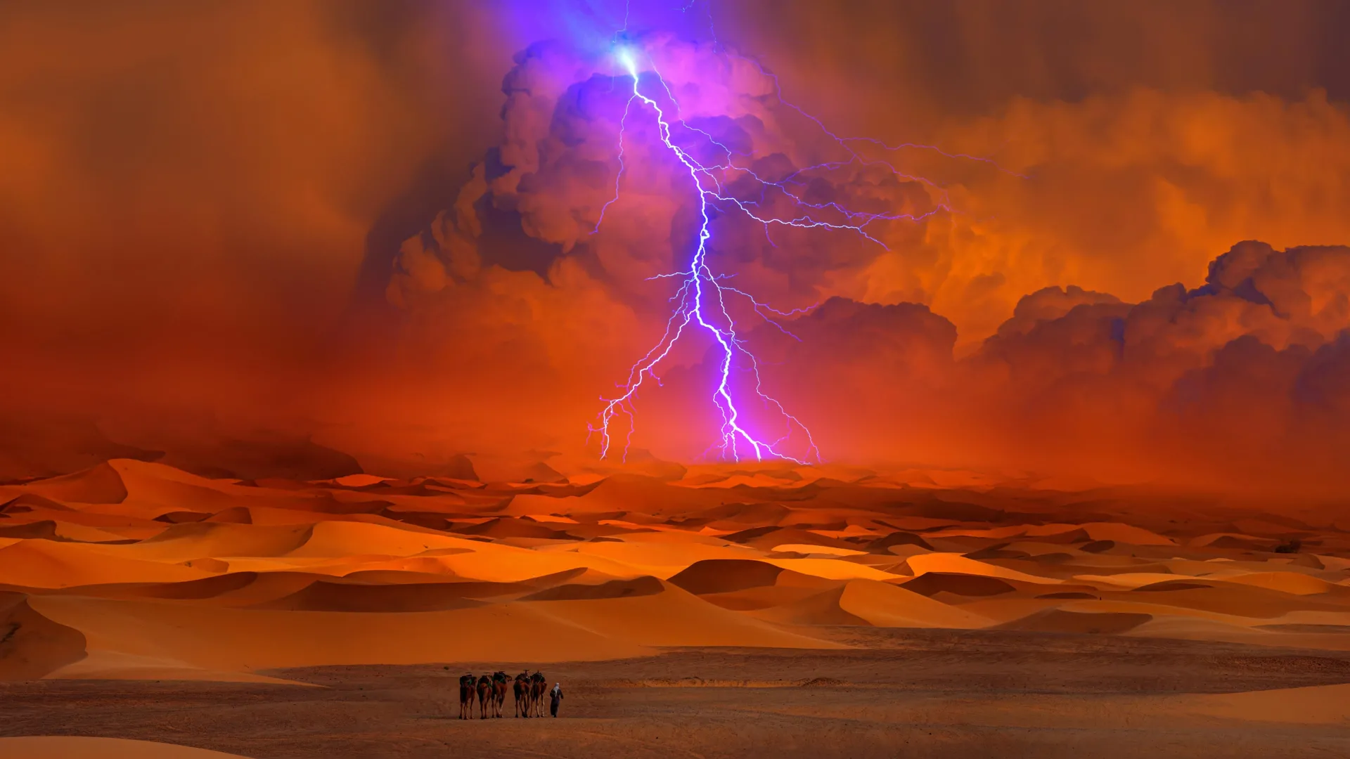 Cientistas antecipam um futuro mais úmido e verde para o Deserto do Saara