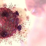 <p>Um composto raro de planta anticancerígeno foi finalmente decifrado.</p>