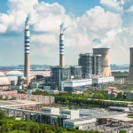 O papel tissue de bambu pode não ser tão sustentável quanto você imagina.