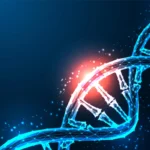 <p>Cientistas registram impressionantes imagens em tempo real de lesões e reparos no DNA.</p>