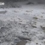 <p>Caminhos nas Montanhas da Estrela e do Montemuro foram reabertos após nevasca</p>