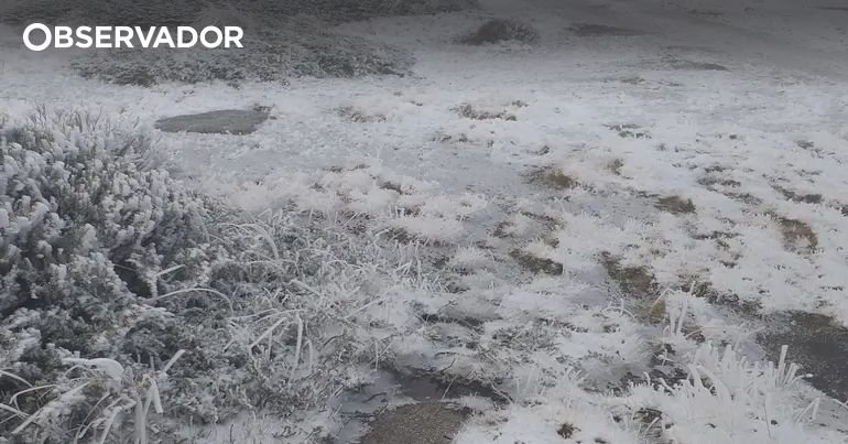 <p>Caminhos nas Montanhas da Estrela e do Montemuro foram reabertos após nevasca</p>