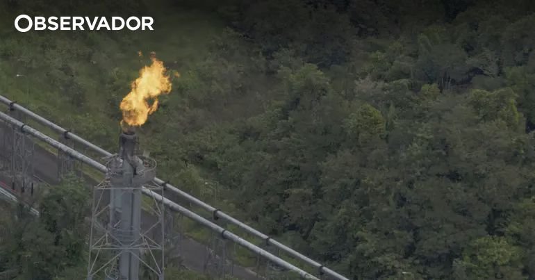 <p>Brasil alcança novo marco na extração de petróleo e gás natural em outubro</p>