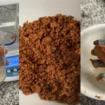 Girassóis podem ser o amanhã da “carne vegetal