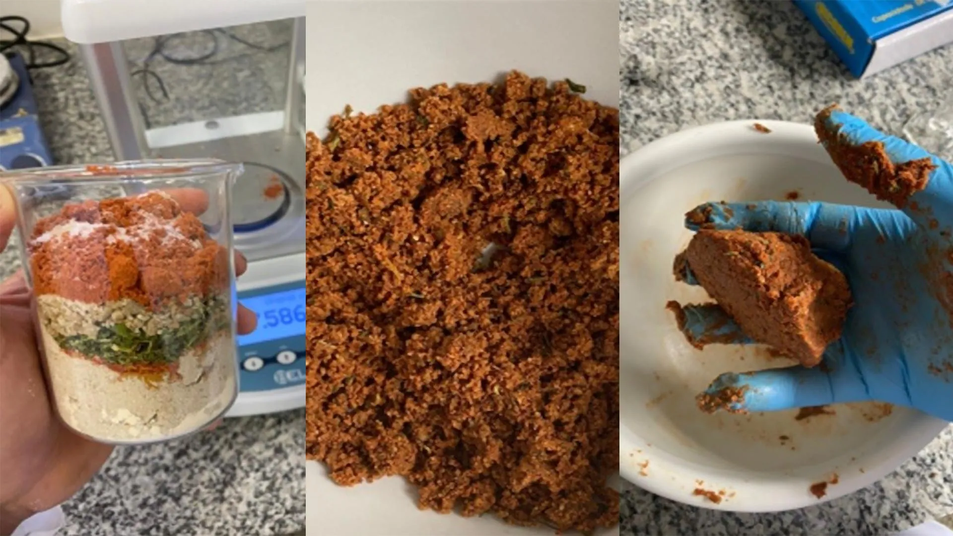 Girassóis podem ser o amanhã da “carne vegetal