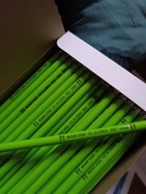 <p>Mais de 100 comunidades e associações educativas recebem oliveiras para criar «jardins da tranquilidade»</p>