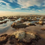 <p>Uma criatura inédita foi descoberta no Lago Salgado Grande</p>