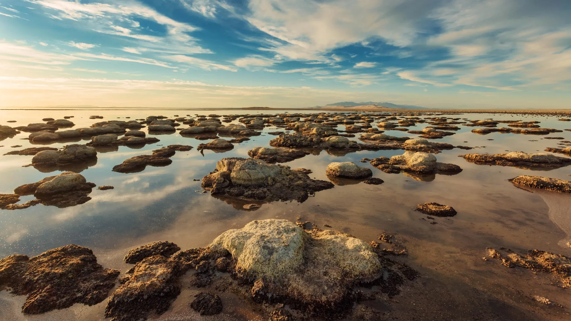 <p>Uma criatura inédita foi descoberta no Lago Salgado Grande</p>