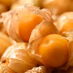 <p>Esta fruta selvagem está recebendo uma atualização com CRISPR.</p>