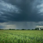 <p>Cientistas descobrem padrão oculto de precipitação que pode transformar a agricultura</p>