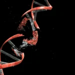 <p>A regra do 4x: Por que o DNA de algumas pessoas é mais volúvel que o de outras</p>