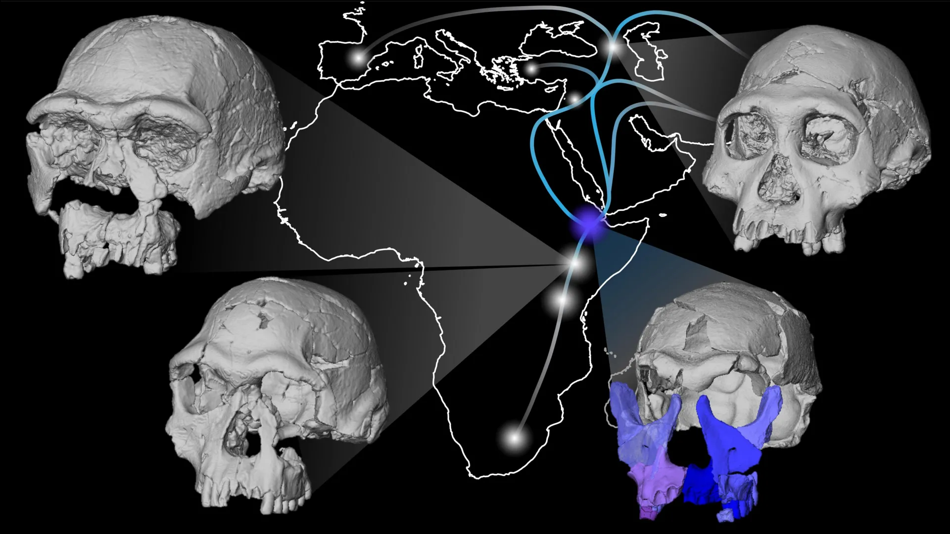 <p>O rosto de um fóssil de 1,5 milhão de anos está provocando uma reavaliação das origens humanas.</p>