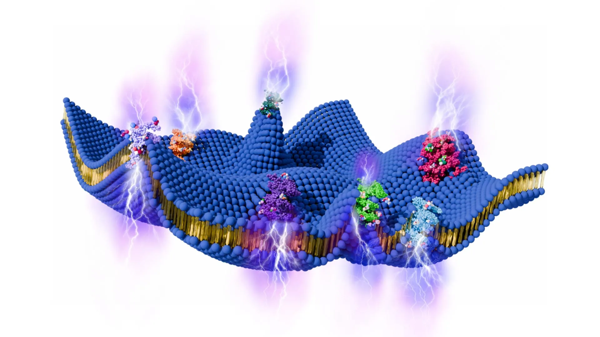 <p>Células vivas podem produzir energia a partir do movimento</p>