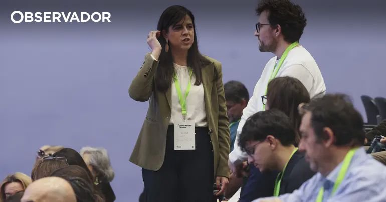 <p>Assembléia do PAN valida novos estatutos que estabelecem períodos de três anos e atendem a questionamentos do Constitucional</p>