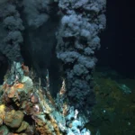 <p>O custo etéreo invisível que mantém a vida unida</p>