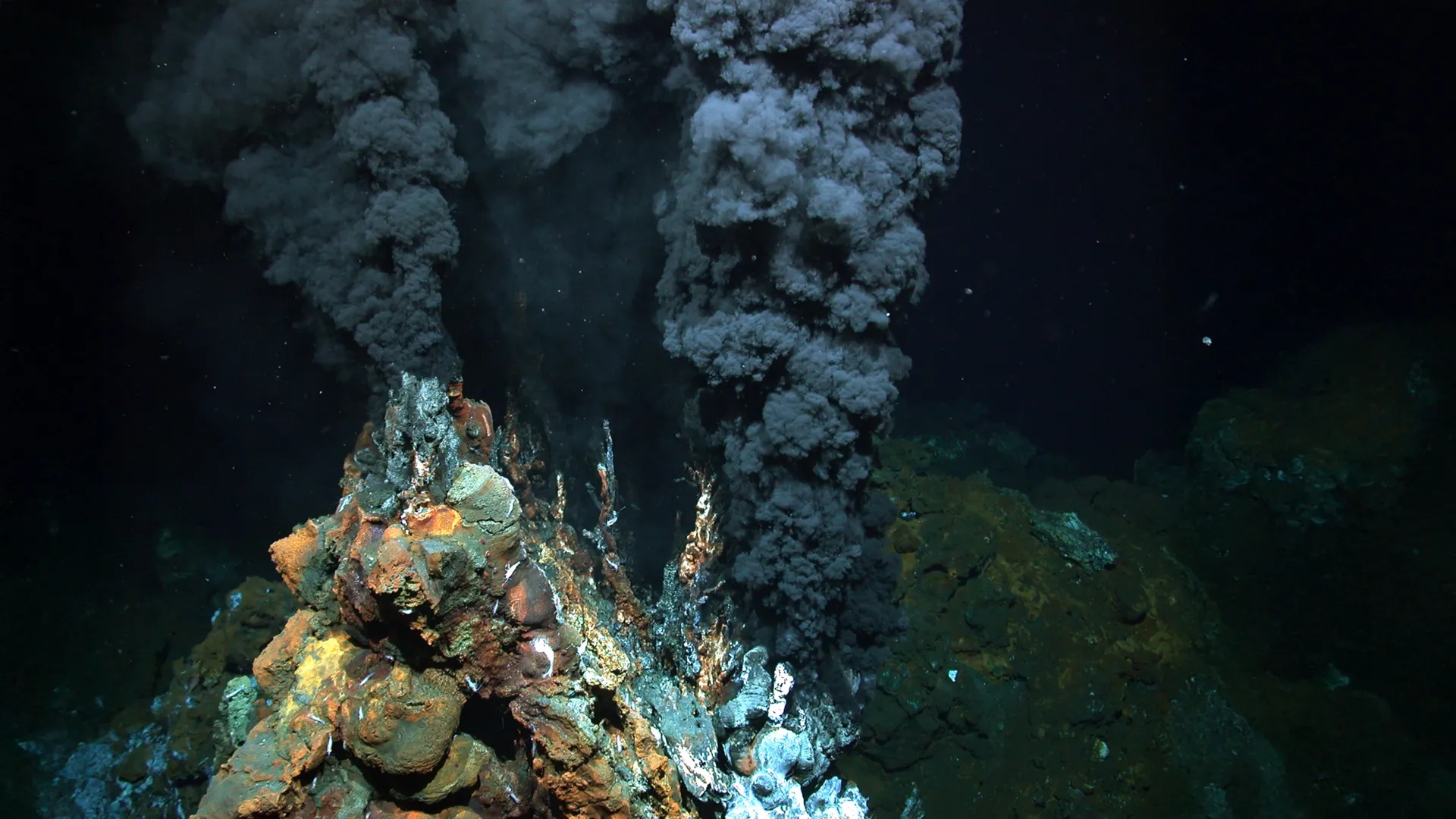 <p>O custo etéreo invisível que mantém a vida unida</p>