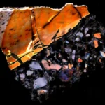 <p>Os ossos fossilizados estão desvendando mistérios de um mundo esquecido.</p>