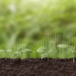 <p>As plantas não conseguem absorver tanto CO2 quanto os modelos climáticos previram.</p>