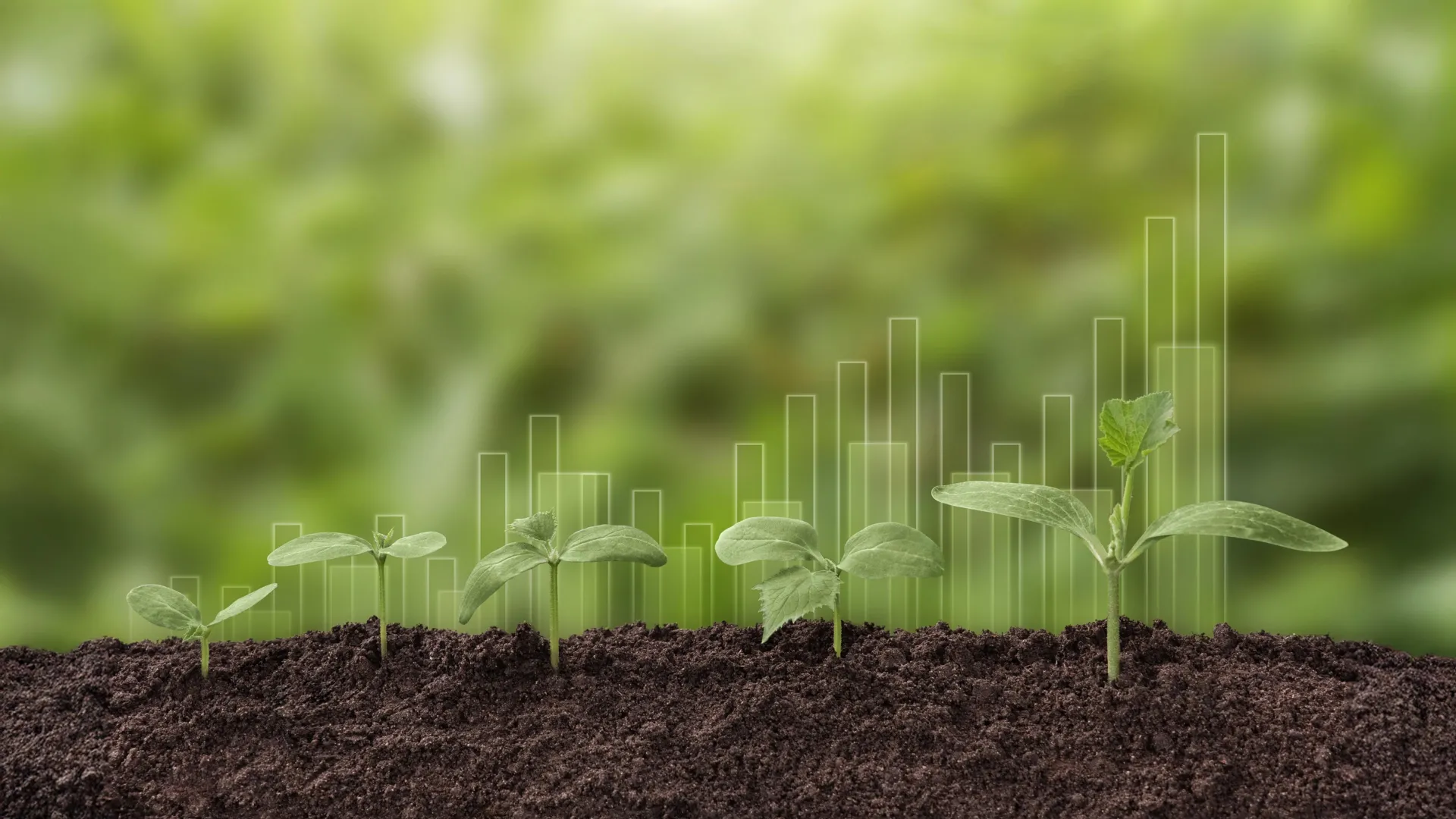 <p>As plantas não conseguem absorver tanto CO2 quanto os modelos climáticos previram.</p>