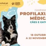 2ª Ação de Prevenção Veterinária da CMF imunizou 191 cães e 89 felinos