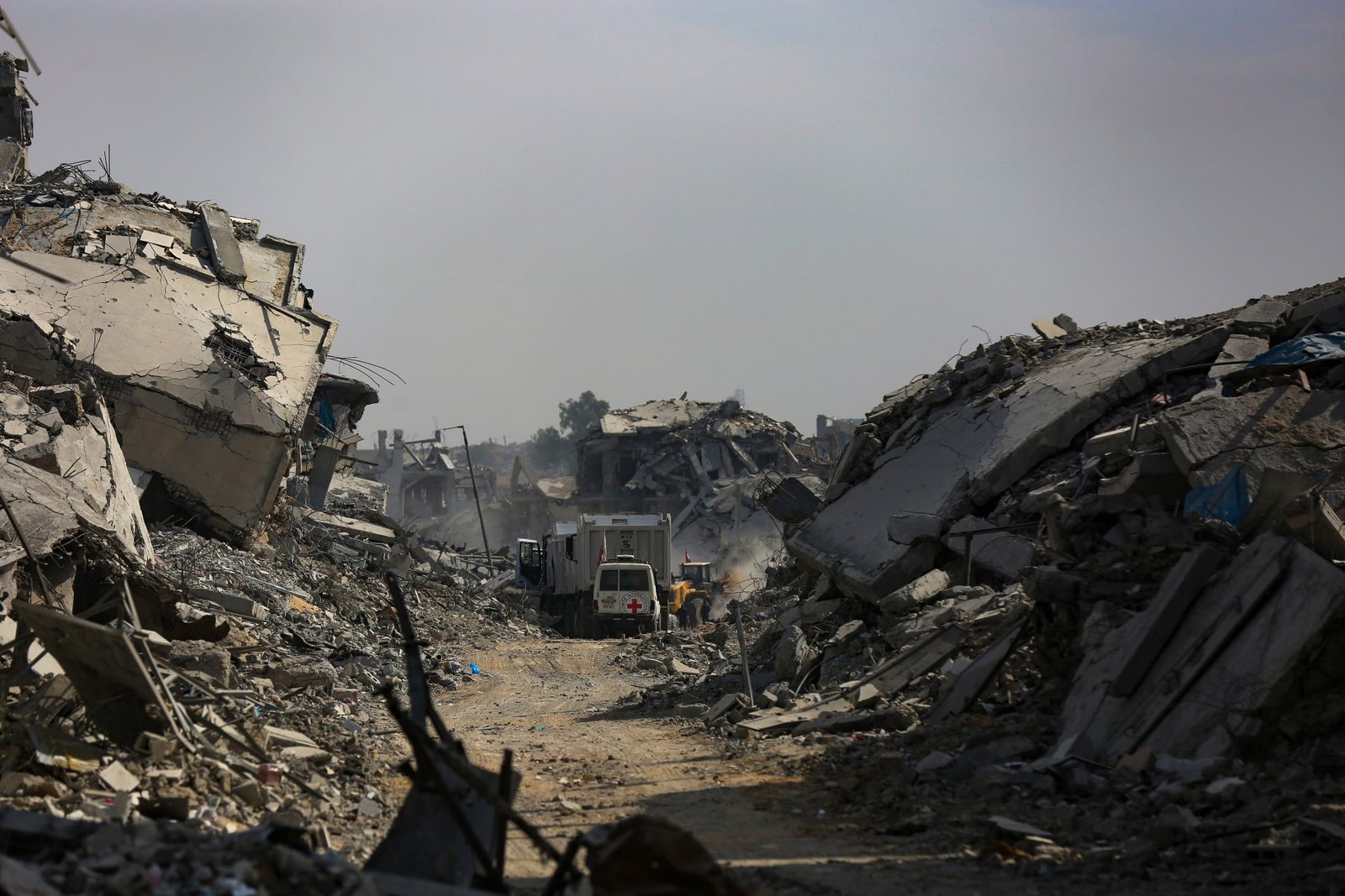 Papa XIV solicita que fiéis em áreas de conflito sejam «brotos de harmonia» e ora pelo Oriente Médio