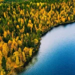 Um “mundo esquecido” sob o Mar do Norte já foi repleto de florestas