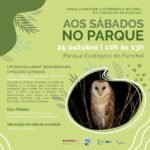 Sábados no Jardim: Atividade Especial sobre o projeto VIDA Natura@noite – Fauna e Iluminação Artificial