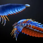 Este pequeno dente em um fóssil de 500 milhões de anos reescreveu a origem das aranhas.