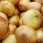 Pesquisadores descobrem método fácil para prevenir lágrimas ao picar cebolas