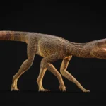 Este crocodilo correu como um galgo na antiga Grã