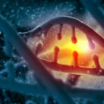 Cientistas descobriram “supergênios” de DNA que aceleram a evolução