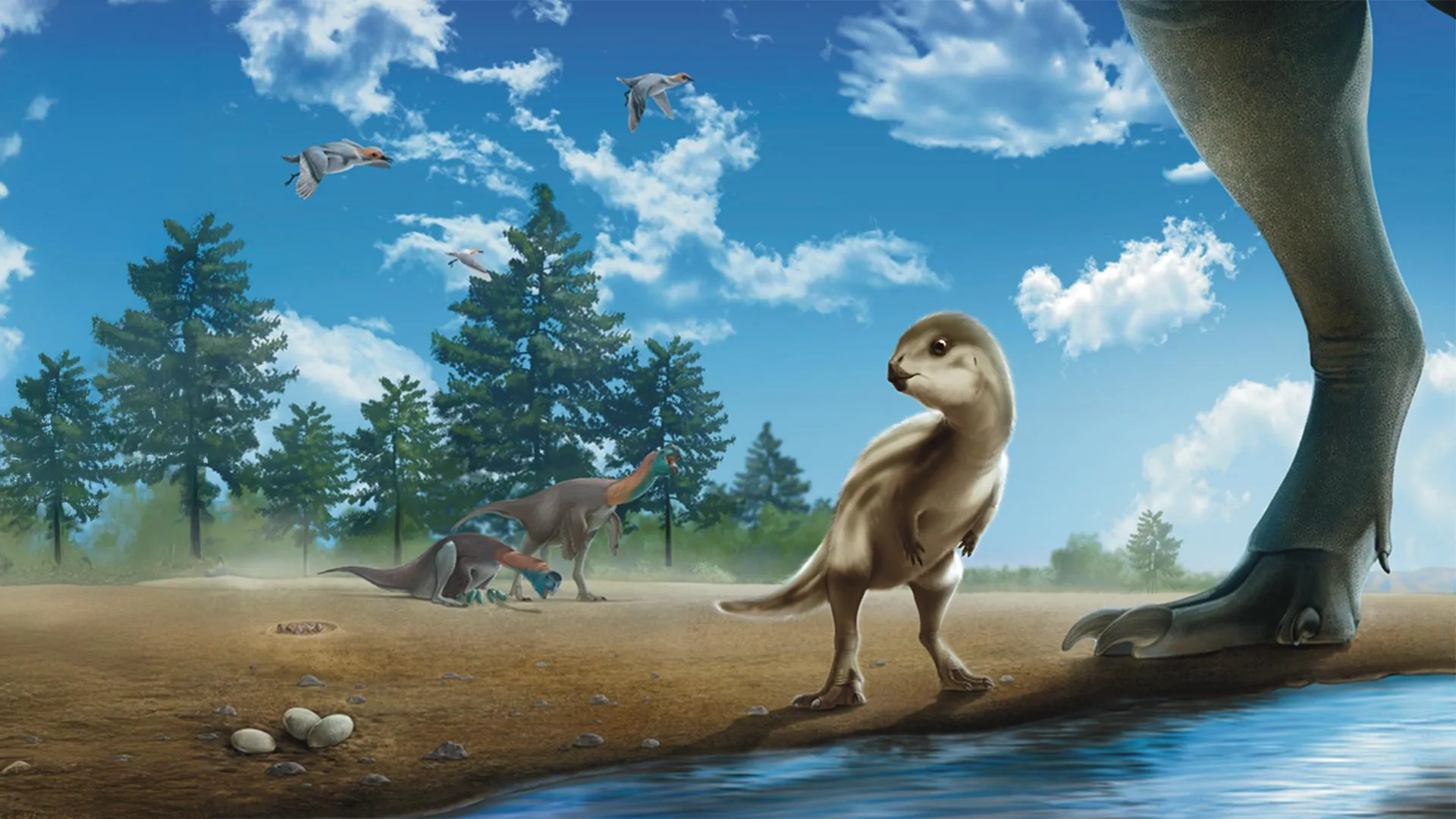 Cientistas descobriram um filhote de dinossauro camuflado em pedra e é surpreendentemente adorável.