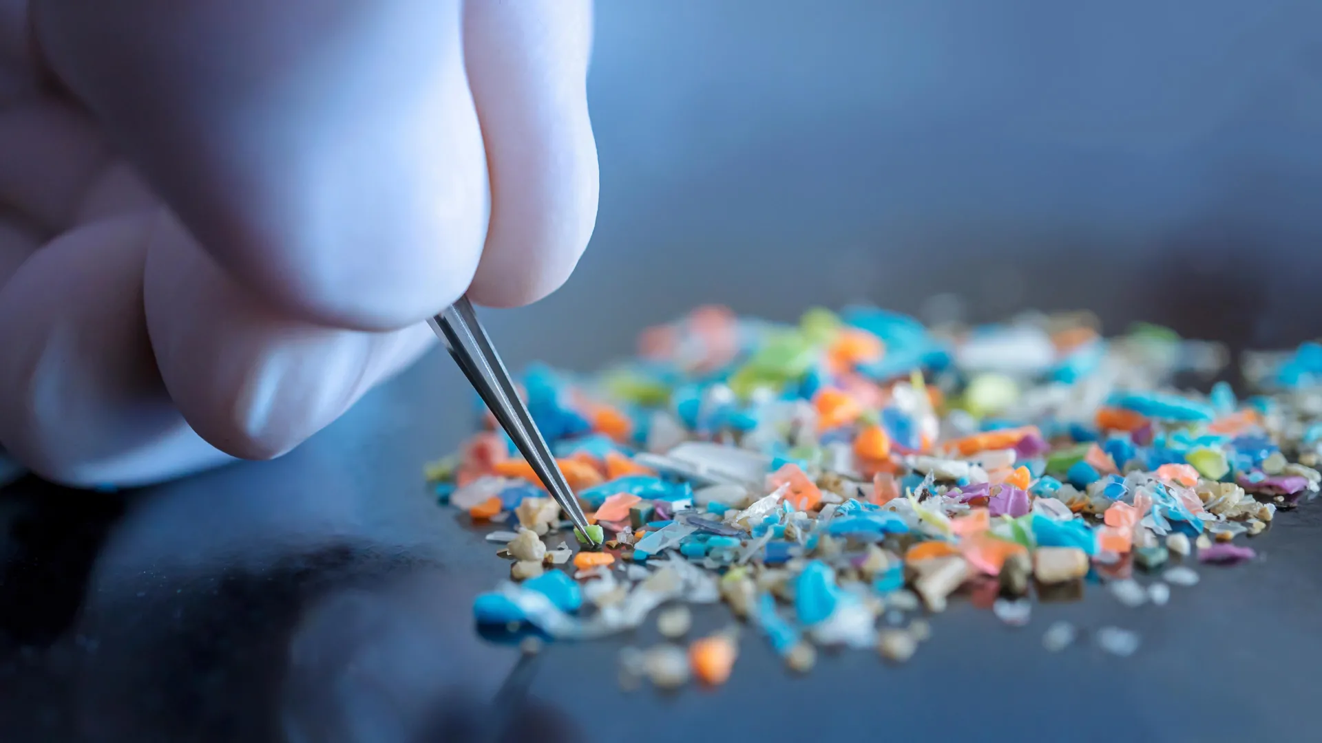 Cientistas surpreendidos ao descobrir que luvas de laboratório podem estar distorcendo dados de microplásticos