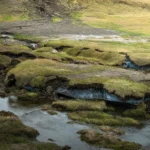 Um imenso degelo ártico está liberando carbono aprisionado por milênios.