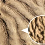 Estranhas rochas “pele de elefante” desvendam vida antiga nas profundezas do oceano